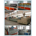 WPC-Profil Produktionslinie/WPC Profil Extruder